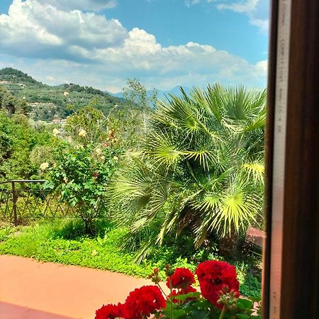 Casa Magnolia Apartment Camporosso  Luaran gambar