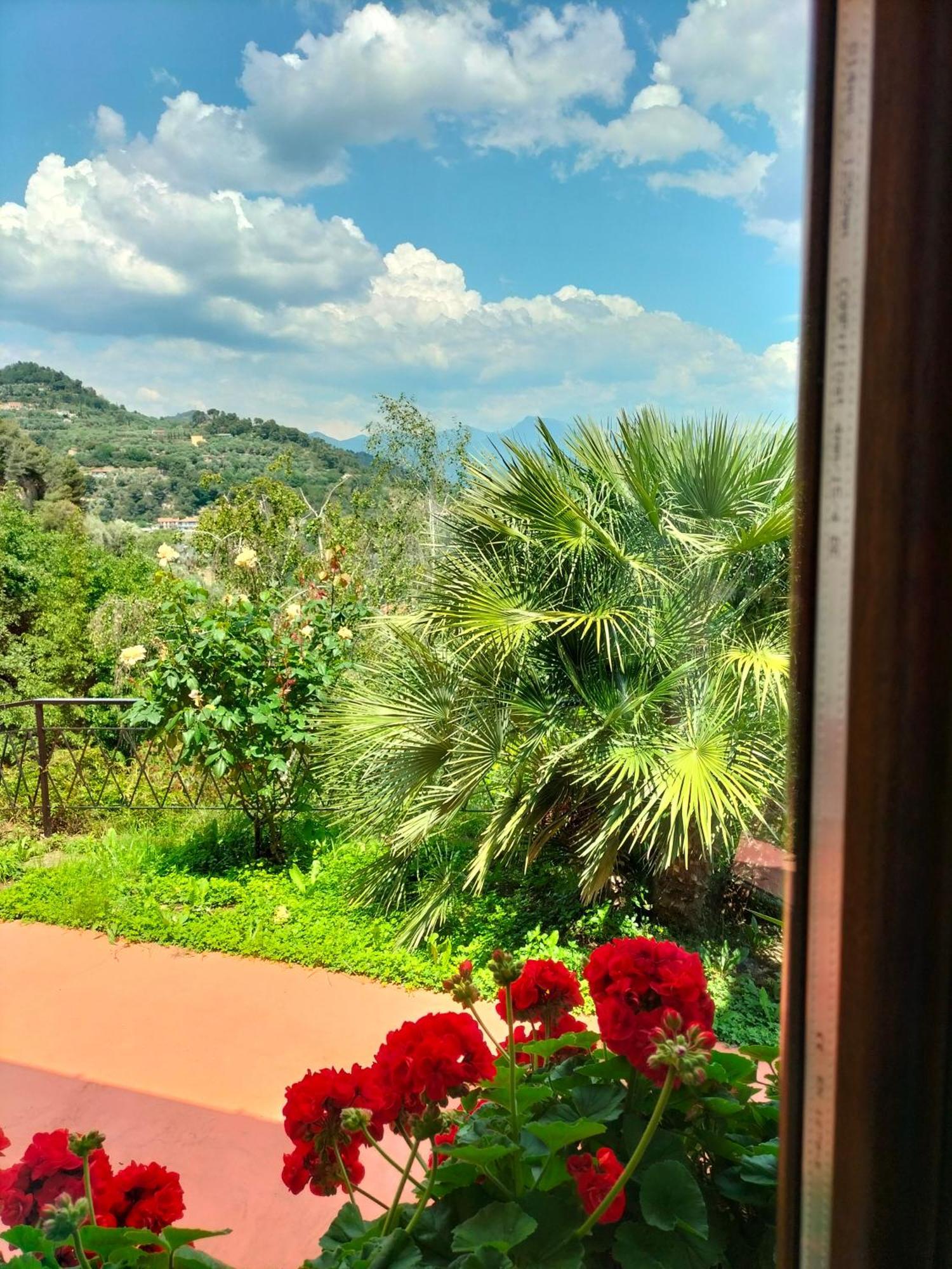Casa Magnolia Apartment Camporosso  Luaran gambar