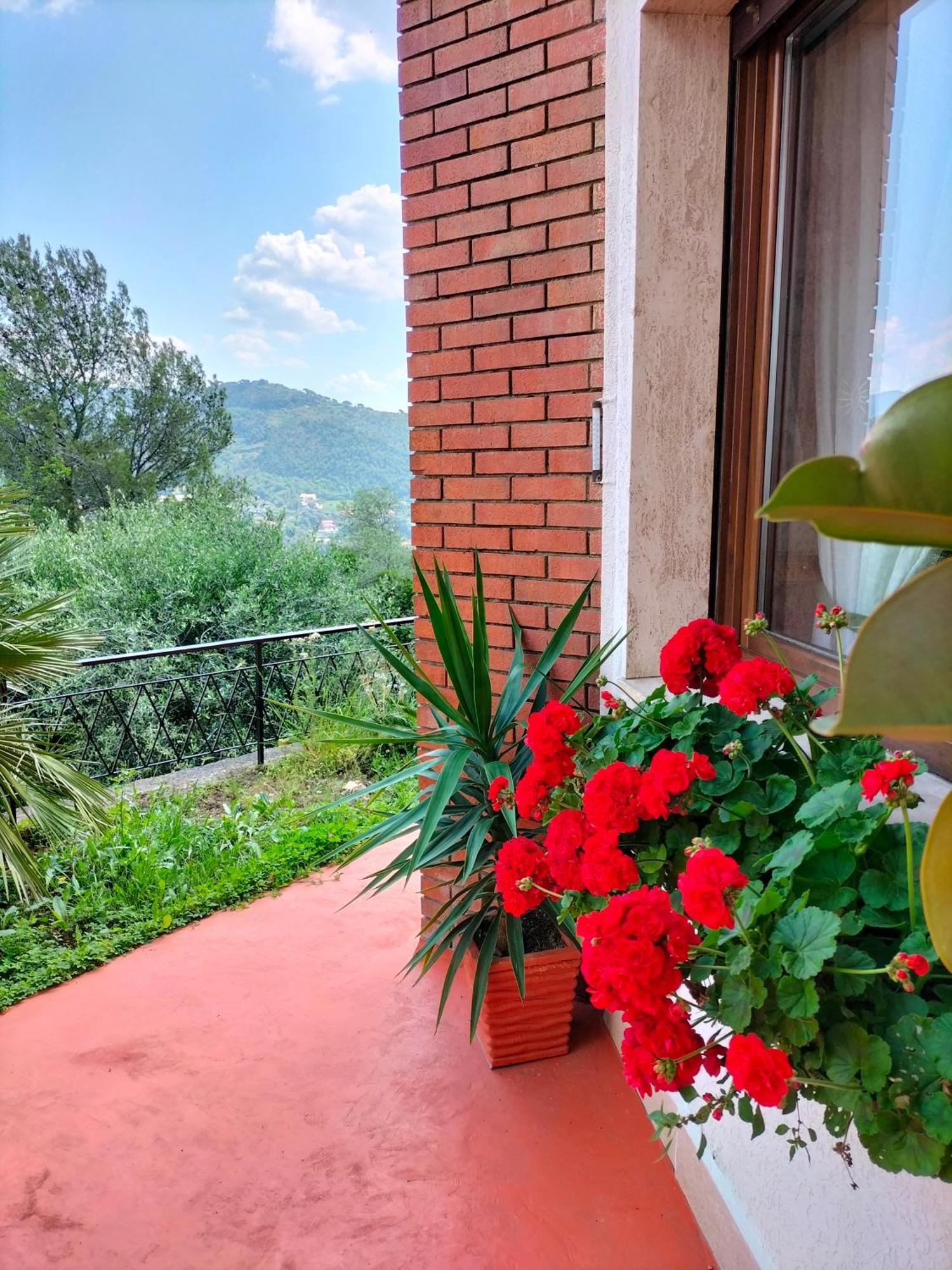 Casa Magnolia Apartment Camporosso  Luaran gambar